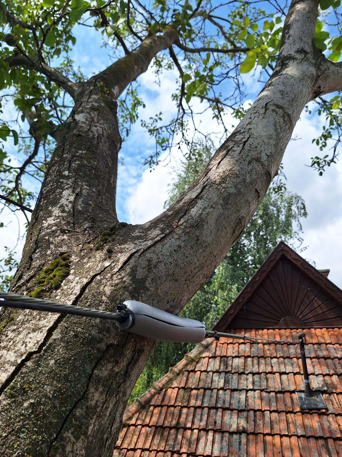 Statikai megerősítés rúddal a törzsben